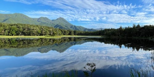 b0bbcd2c12579f08dc3d6bf4ad37c724