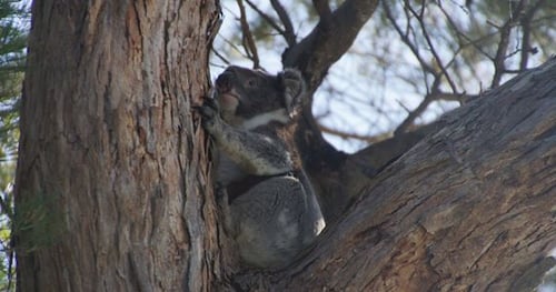 43426-dfce43d3-4e6c-436b-a2ac-62b14b5848d4-thumbnail