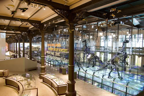 1925-museum_of_natural_history_brussels