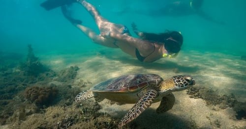 26864-fbc46d71-7cdc-4b92-9b46-6e91c53eb0a6-thumbnail