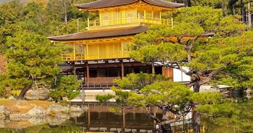 42417-4bf56b82-6b98-4df8-9083-49d8f88f7649-thumbnail