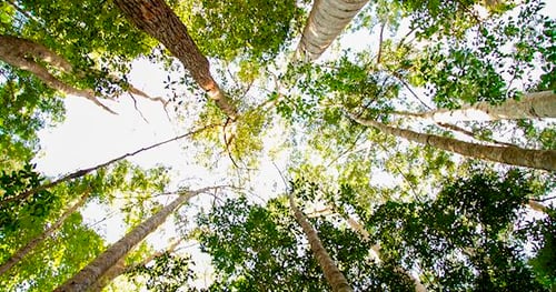 29492-a2c7a5c0-07a6-4aad-9005-db7aa53ce429-thumbnail