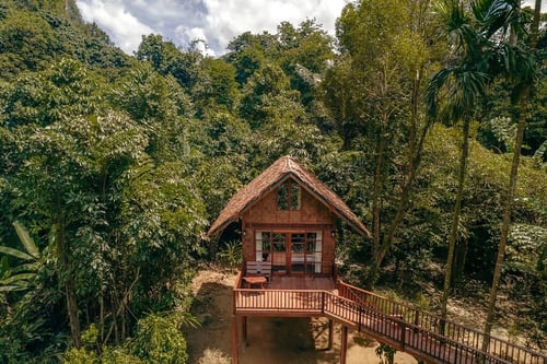 sunrise-loft-treehouse-our-jungle-house_gallery_full