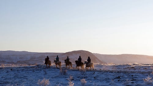 808-ishestar-riding_on_icelandic_horses_uploadedtobynder