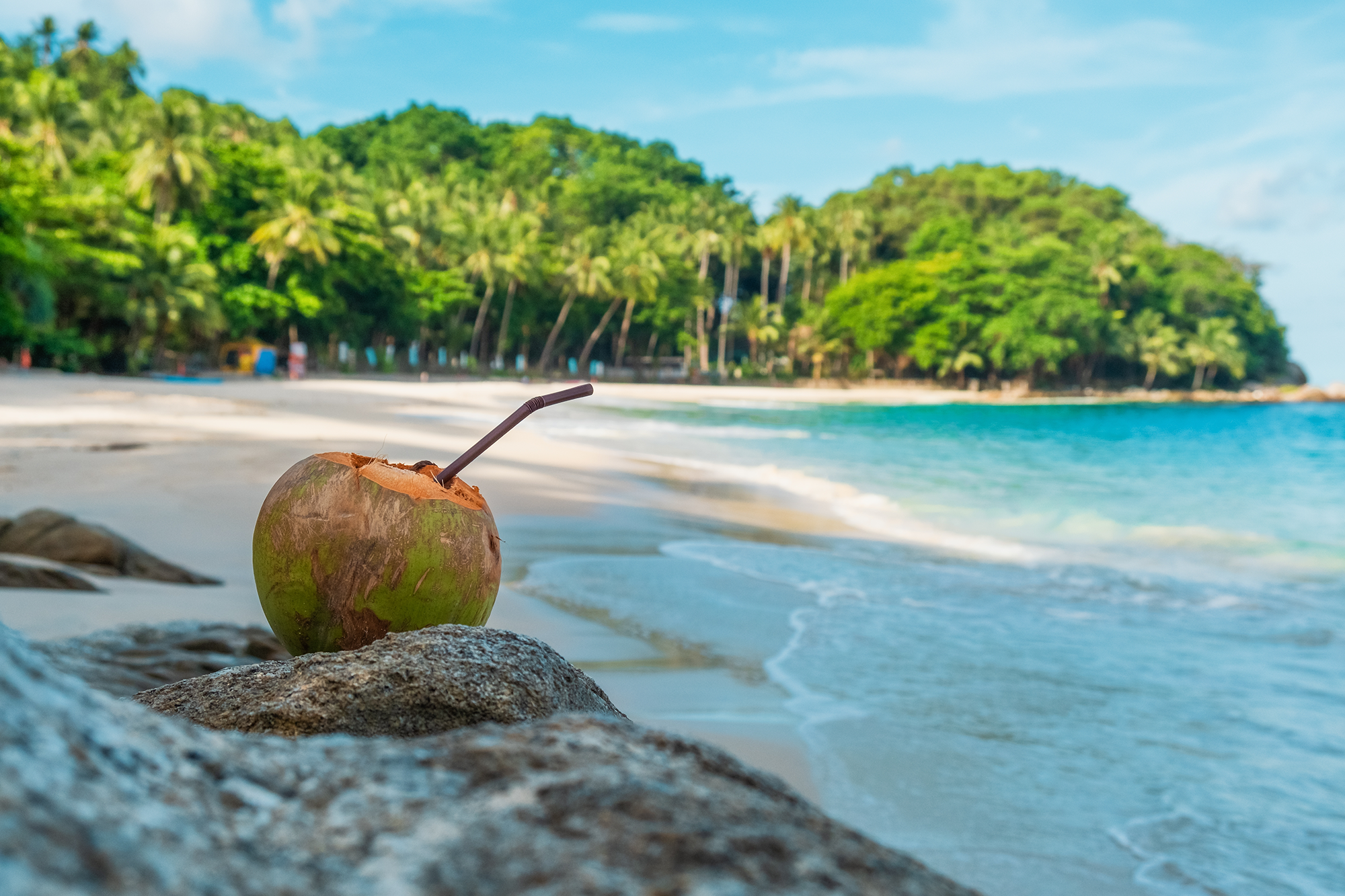Kokosnøtt på en strand i Thailand. Foto.