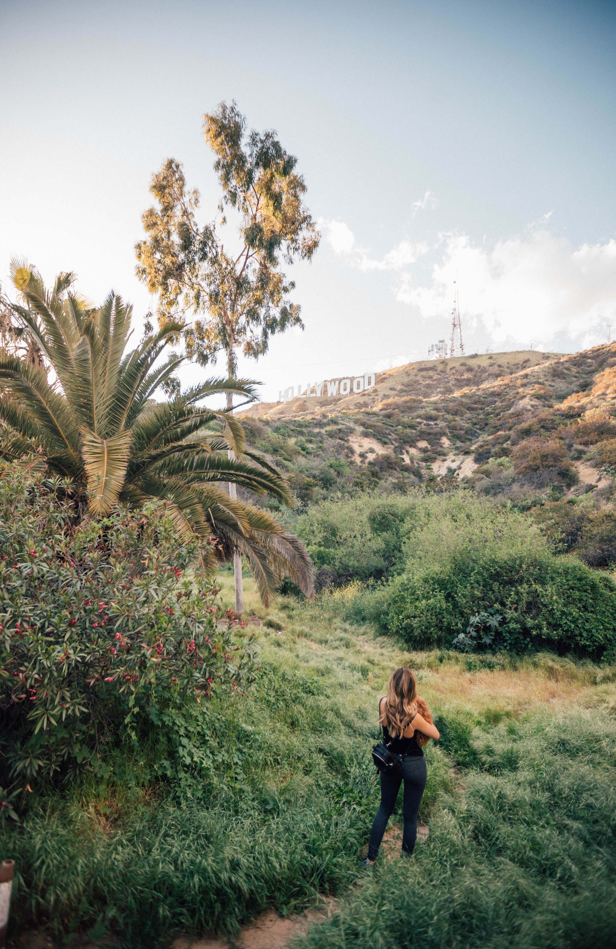 Studere i Los Angeles | Studier i Los Angeles