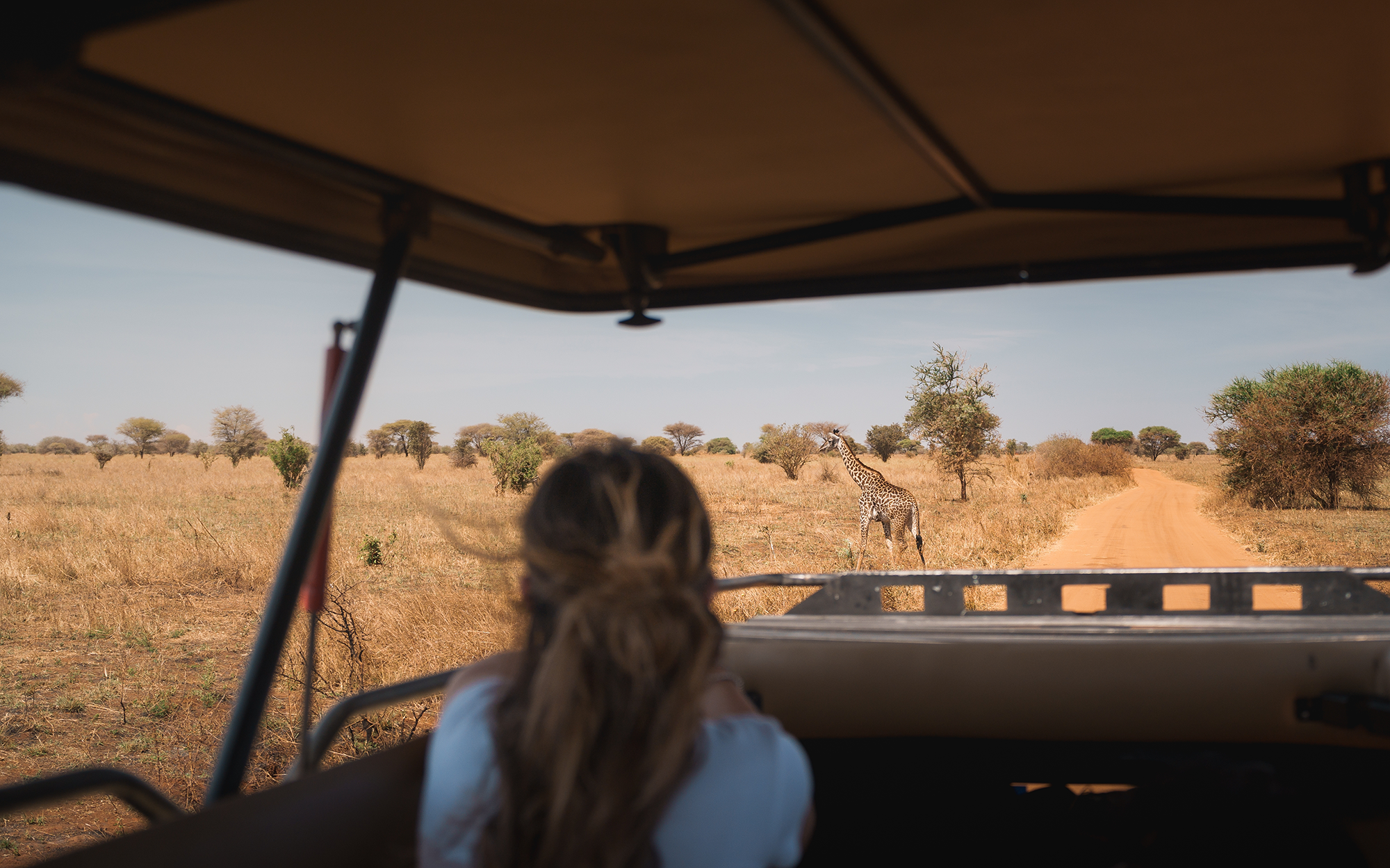 jente på safari i Tanzania. Foto.