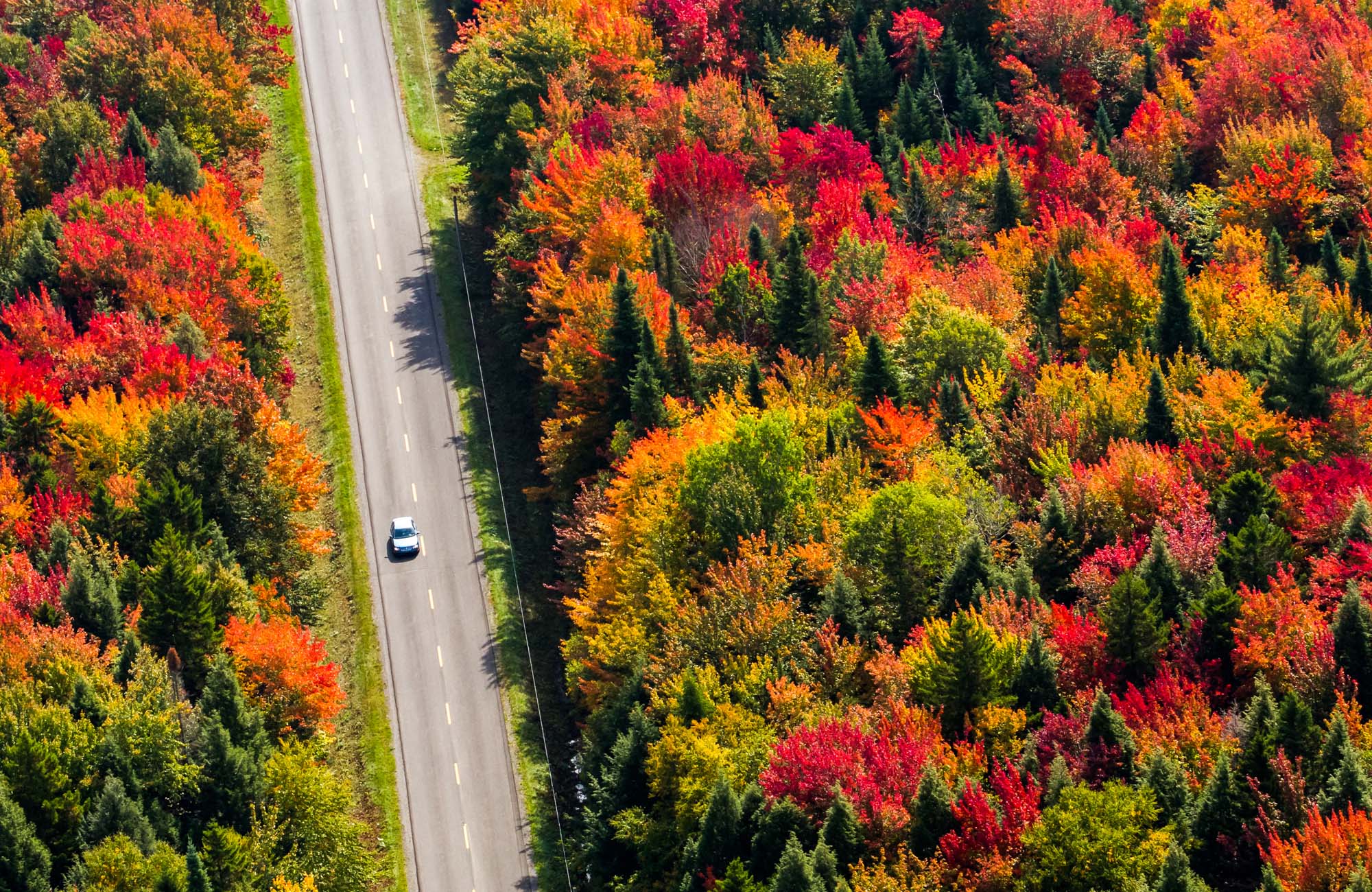 autumn-colors-road-trip-quebec-canada-cover