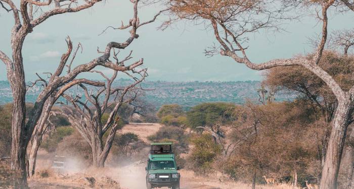 serengeti-tanzania-safari-drive-car-cover