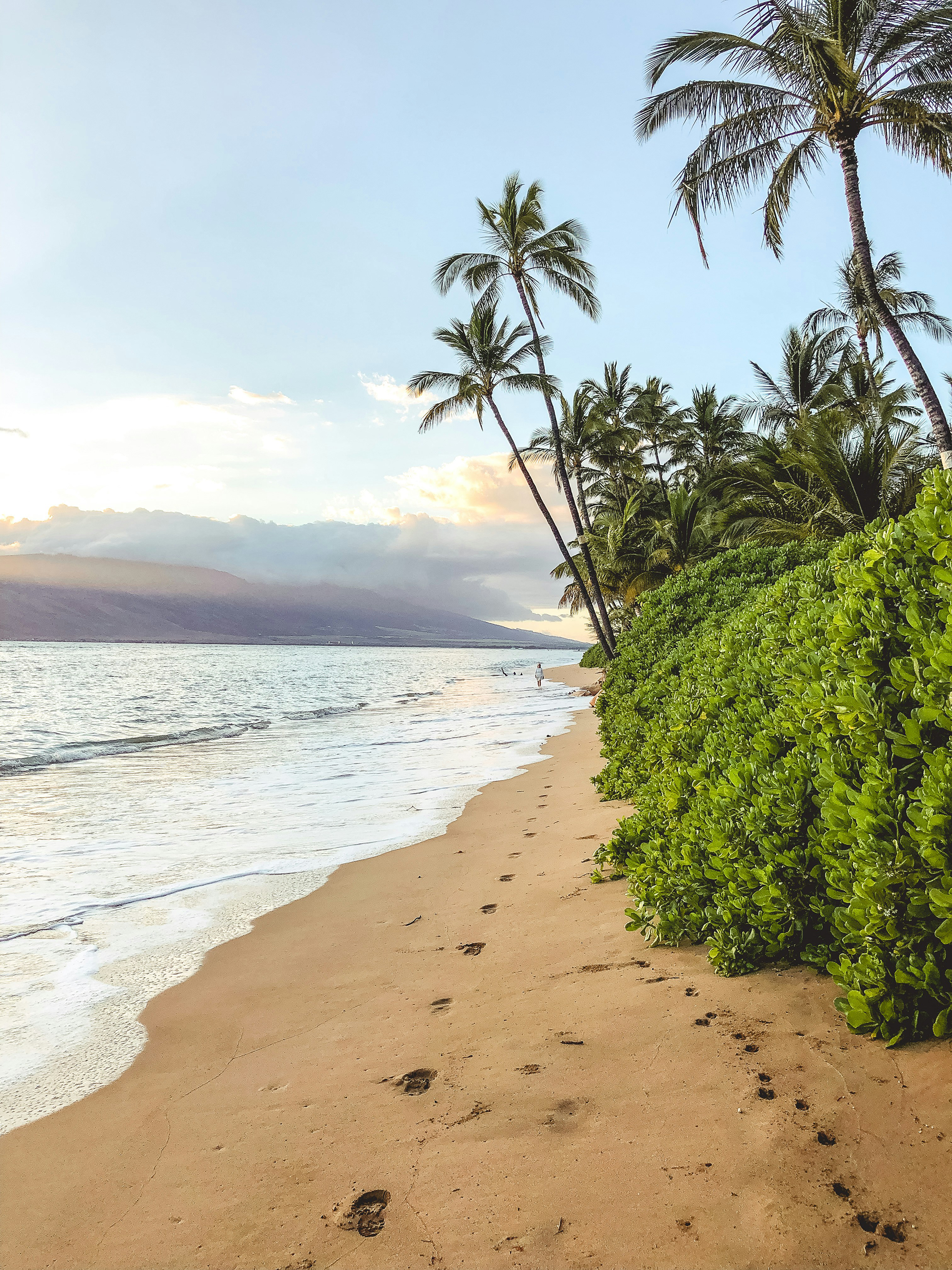 Studere på Hawaii | Studier på Hawaii